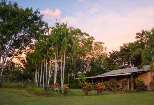 2 Week Northern Territory Itinerary, Australia (2025) 16 121626329