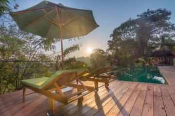 1637089 17082116390055559925