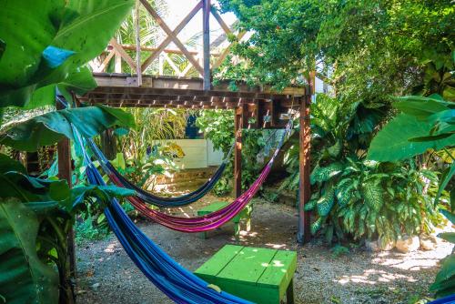 Backpacking Guatemala: Budget Travel Guide for 2025 43 170233115