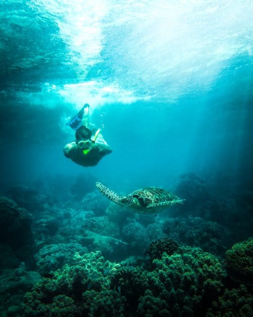 10 BEST Koh Tao Beaches - The Ultimate Guide 9 shark bay koh tao, koh tao shark bay, shark island koh tao, sharkk beach koh tao, best beaches koh tao, koh tao beaches, beaches koh tao, beaches in koh tao, beaches on koh tao, koh tao best beaches, best beaches koh tao