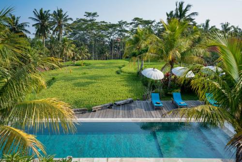 Where To Stay In Ubud - The BEST Areas & Hotels (2025) 14 57899638