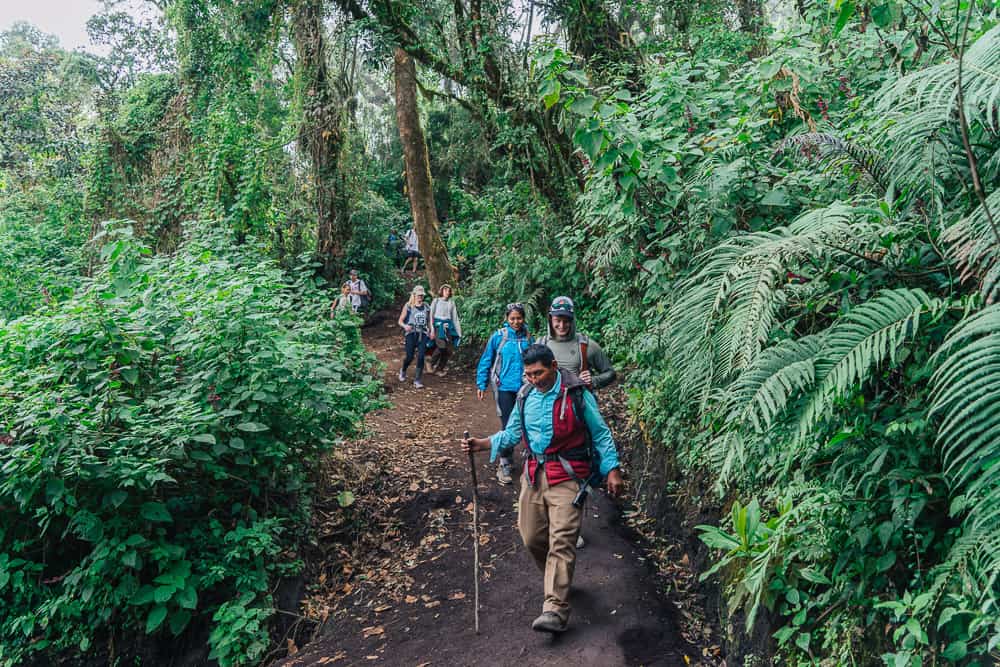 acatenango, acatenango elevation, acatenango guatemala, acatenango hike, acatenango hike difficulty, acatenango tour, acatenango trek, acatenango volcano, acatenango volcano hike, guatemala acatenango, hiking acatenango volcano, volcan acatenango, volcan acatenango hike, volcan de acatenango, volcano acatenango, volcán acatenango