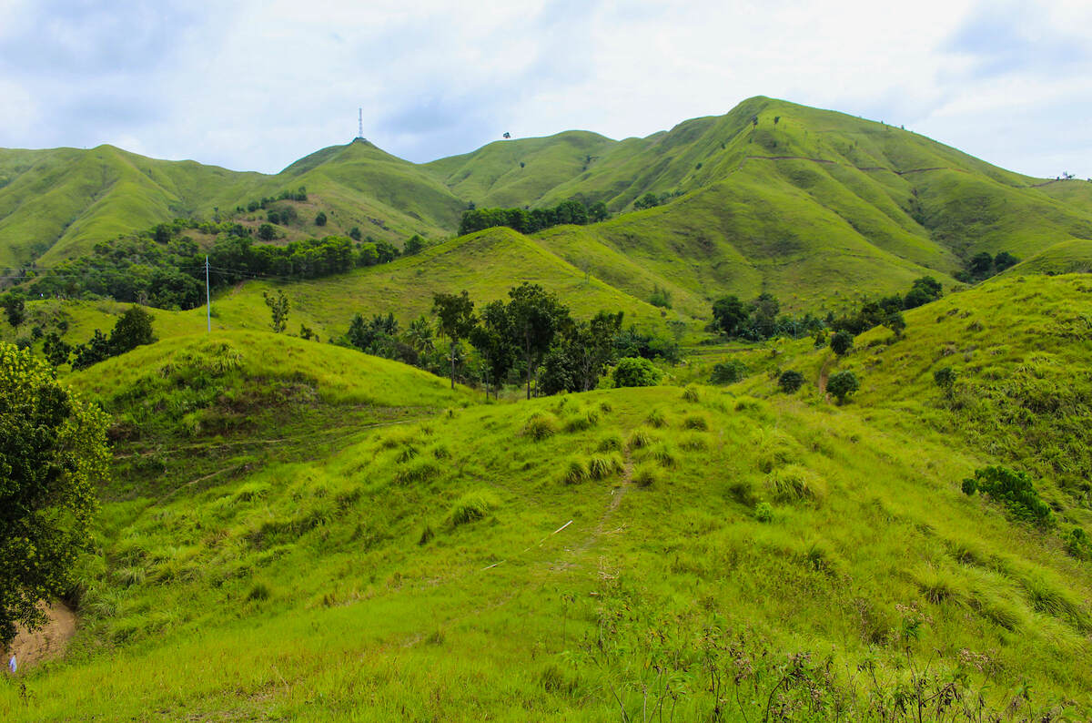 ALICIA PANORAMIC PARK Bohol