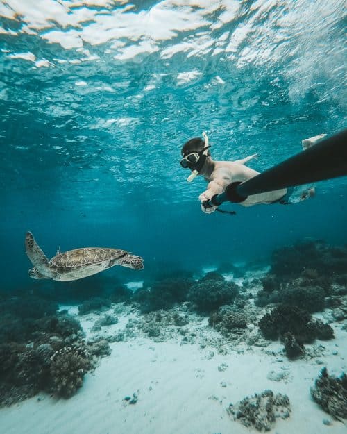 3 Weeks Philippines Itinerary: The Ultimate Guide (2025) 26 virgin island bohol, balicasag island, balicasag island snorkeling, balicasag snorkeling, bohol beach, bohol tourist spot, virgin island panglao, virgin island panglao bohol, balicasag island hopping, bohol snorkeling, balicasag bohol, bohol island hopping rates, panglao island hopping, bohol island hopping tour, virgin island bohol philippines, best beaches in bohol, panglao island hopping tour, snorkeling panglao, balicasag island blog, panglao to balicasag island