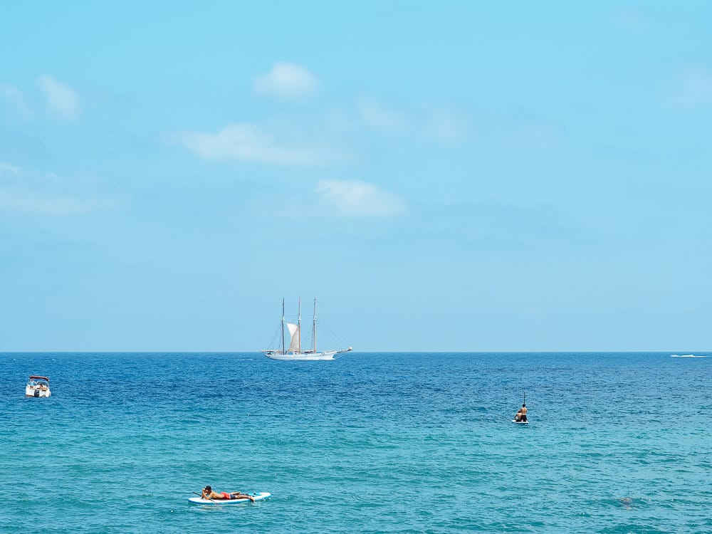 barcelona itinerary, things to see in barcelona, barcelona in 3 days, 2 days in barcelona, barcelona day trips, what to see in barcelona in 3 days, one day in barcelona, barcelona in 2 days, 3 days in barcelona itinerary, what to see in barcelona in 2 days, barcelona in a day, barcelona itinerary, three days in barcelona, barcelona in one day, barcelona day tours, barcelona weekend, barcelona what to see , two days in barcelona, weekend in barcelona, what to do in barcelona for 3 days, barcelona in two days , barcelona itinerary 2 days, planning a trip to barcelona, 1 day in barcelona, trips to barcelona spain, short trips to barcelona, barcelona attractions, barcelona where to go, 3 perfect days in barcelona, barcelona two day itinerary, barcelona blog, barcelona travel blog, what to do in barcelona for 2 days, barcelona spain vacation, things to do in barcelona in 2 days, barcelona solo travel, how many days in barcelona, things to do in barcelona in 3 days, how many days to spend in barcelona, la barceloneta, barceloneta beach