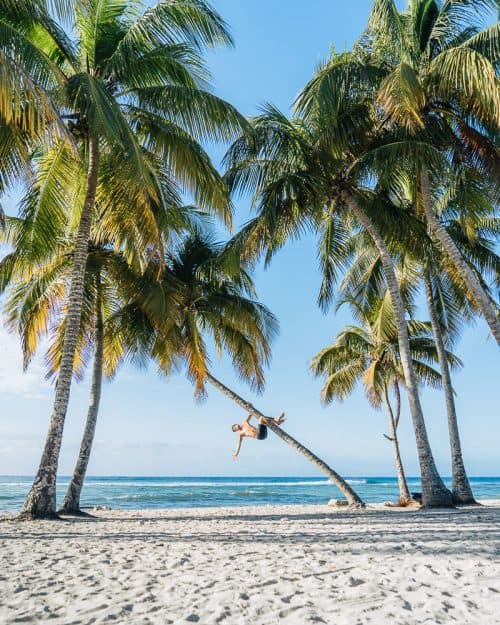 10 Day Cuba Itinerary - The Ultimate Guide (2025) 45 cuba itinerary, cuba itinerary 10 days, cuba travel itinerary, 10 days in cuba, cuba 10 days, cuba in 10 dayS, itinerary for cuba, cuba 10 days itinerary, 10 day cuba itinerary, 10 day itinerary cuba, 10 days cuba itinerary, itinerary cuba 10 days, 10 days in cuba itinerary, bay of pigs, bay of pigs cuba