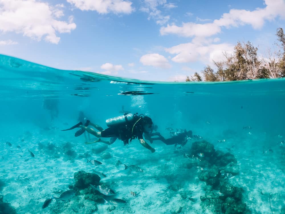 cuba itinerary, cuba itinerary 10 days, cuba travel itinerary, 10 days in cuba, cuba 10 days, cuba in 10 dayS, itinerary for cuba, cuba 10 days itinerary, 10 day cuba itinerary, 10 day itinerary cuba, 10 days cuba itinerary, itinerary cuba 10 days, 10 days in cuba itinerary, bay of pigs, bay of pigs cuba