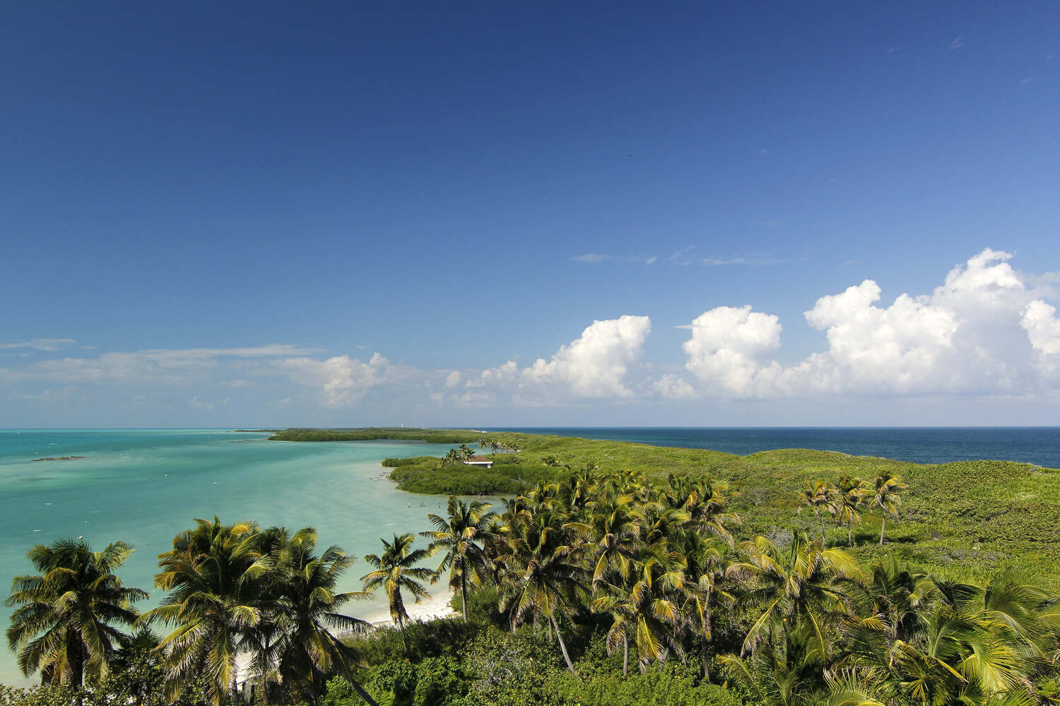 isla contoy tour, contoy island, isla contoy excursion, contoy island tours, best isla contoy tours