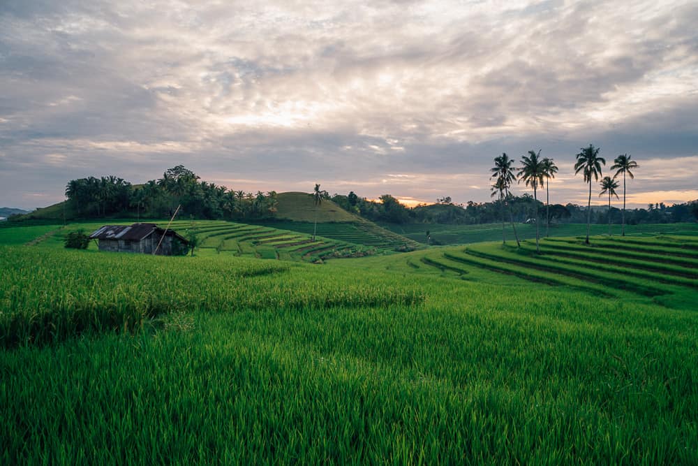 candapdapan rice terraces, bohol rice terraces, bohol tour, panglao bohol, bohol day tour, bohol trip, things to do in bohol, bohol travel, what to do in bohol, where to go in bohol, bohol attractions, bohol map, places to visit in bohol, bohol island tour, bohol tourist attractions, bohol travel guide, bohol to cebu, bohol tourist spots list, bohol chocolate hills tour, what to see in bohol, bohol philippines map, how to get to bohol, beautiful places in bohol, bohol spots, places to go in bohol, best places in bohol, places in bohol, bohol guide, bohol pictures, bohol tourist map, bohol what to do, bohol places to visit, best of bohol, beautiful spots in bohol