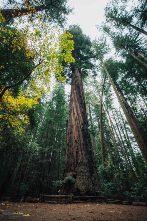 USA Southwest Road Trip - 4 Week Van Life Itinerary 12 southwest road trip, southwest usa road trip, usa southwest road trip