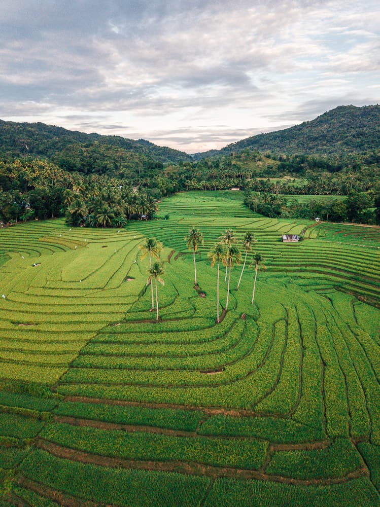 candapdapan rice terraces, bohol rice terraces, bohol tour, panglao bohol, bohol day tour, bohol trip, things to do in bohol, bohol travel, what to do in bohol, where to go in bohol, bohol attractions, bohol map, places to visit in bohol, bohol island tour, bohol tourist attractions, bohol travel guide, bohol to cebu, bohol tourist spots list, bohol chocolate hills tour, what to see in bohol, bohol philippines map, how to get to bohol, beautiful places in bohol, bohol spots, places to go in bohol, best places in bohol, places in bohol, bohol guide, bohol pictures, bohol tourist map, bohol what to do, bohol places to visit, best of bohol, beautiful spots in bohol