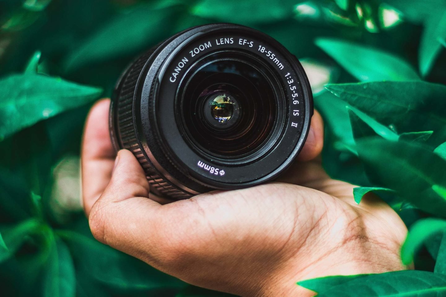 9 BEST Canon Travel Lenses - Complete Guide & Review 1 canon lens 5