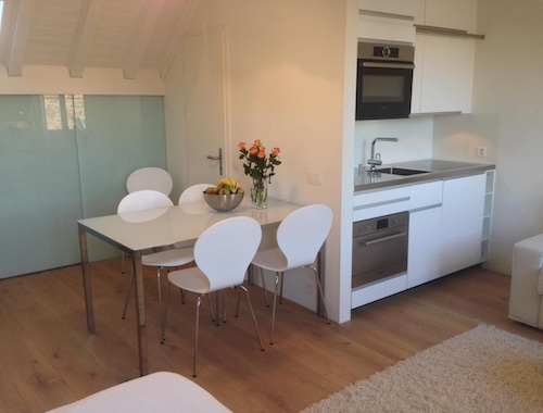 Carouge Loft Apartment 2