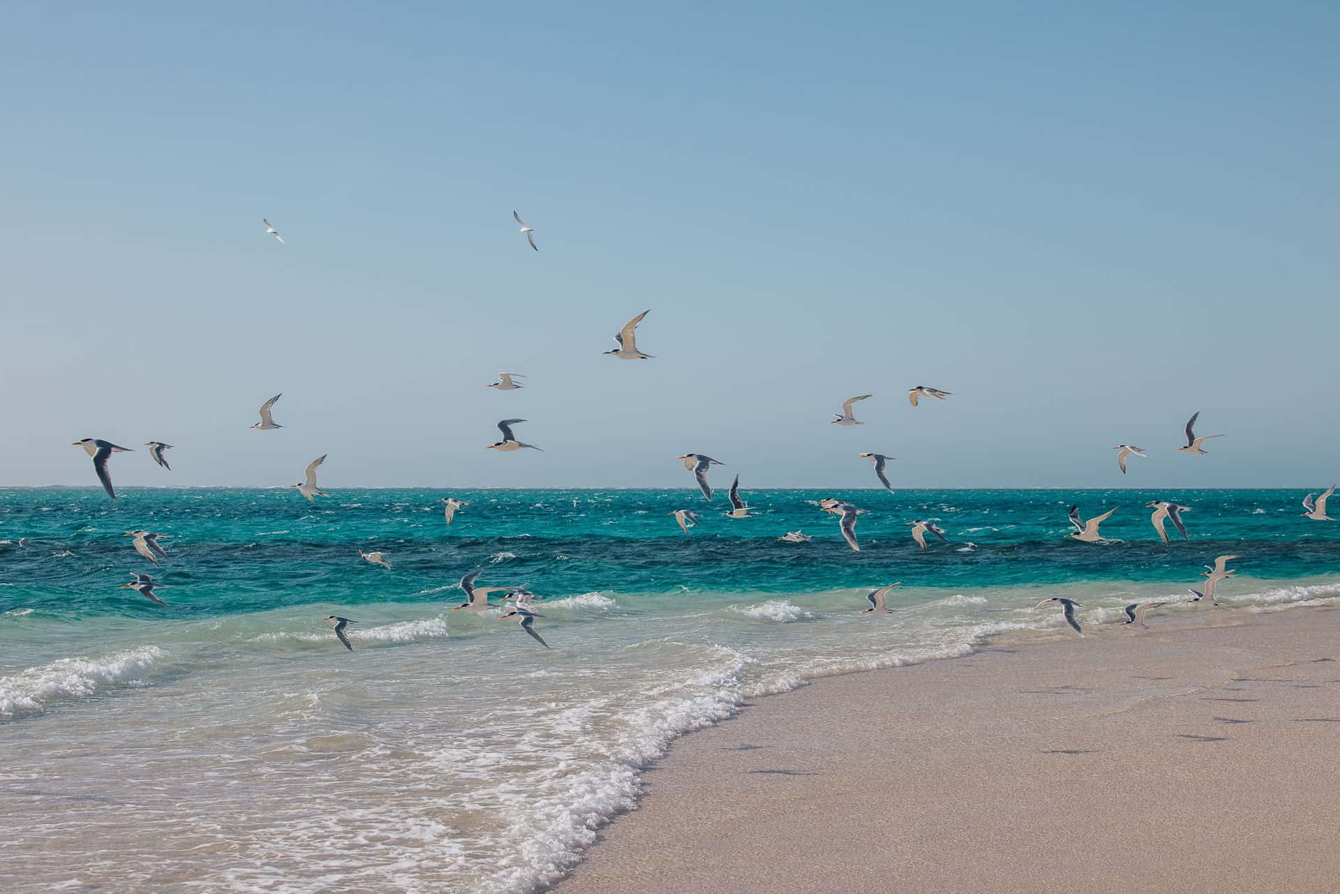 things to do in coral bay, coral bay things to do, coral bay western australia, coral bay, beaches in coral bay