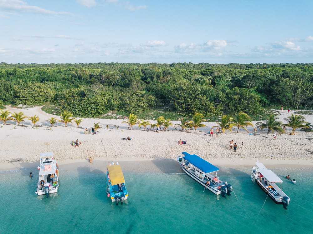 things to do in cozumel, what to do in cozumel, things to do in cozumel mexico, cozumel tours, cozumel things to do, cozumel activities, cozumel mexico things to do, cozumel attractions, cozumel beaches, best things to do in cozumel, cozumel snorkeling, best beaches in cozumel, cozumel jeep tour, best snorkeling in cozumel