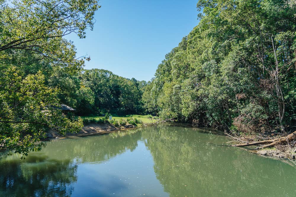 currumbin rockpools, currumbin rock pools, currumbin rock pools gold coast, currumbin valley rock pools, currumbin creek, currumbin waterfalls, currumbin waterfall, currumbin valley