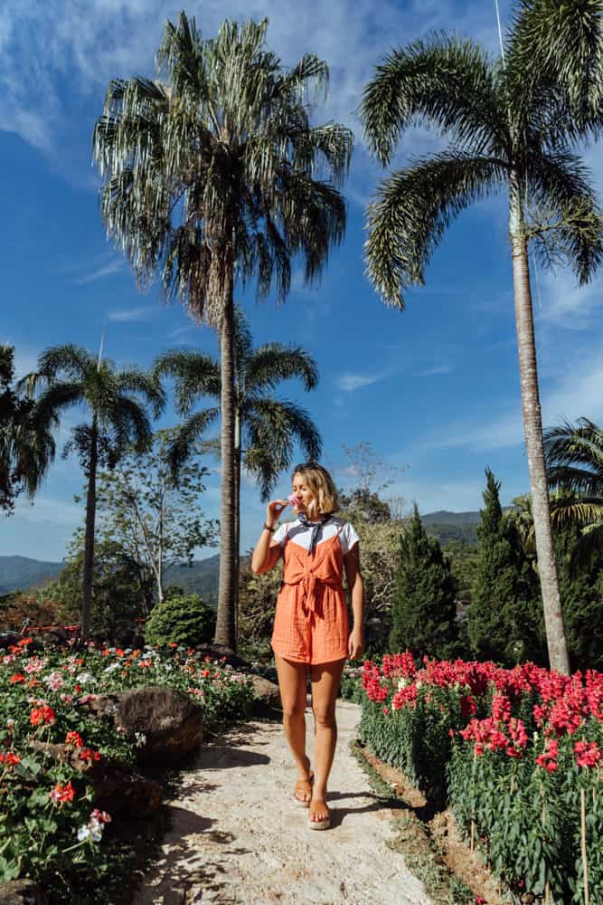 chiang rai tour, things to do in chiang rai, mae kajan hot spring, doi tung botanic gardens, doi tung