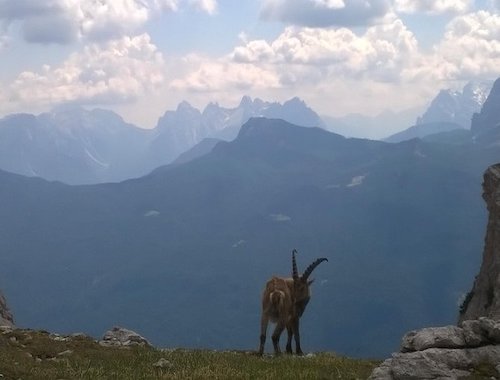 Dolomites Hiking tour