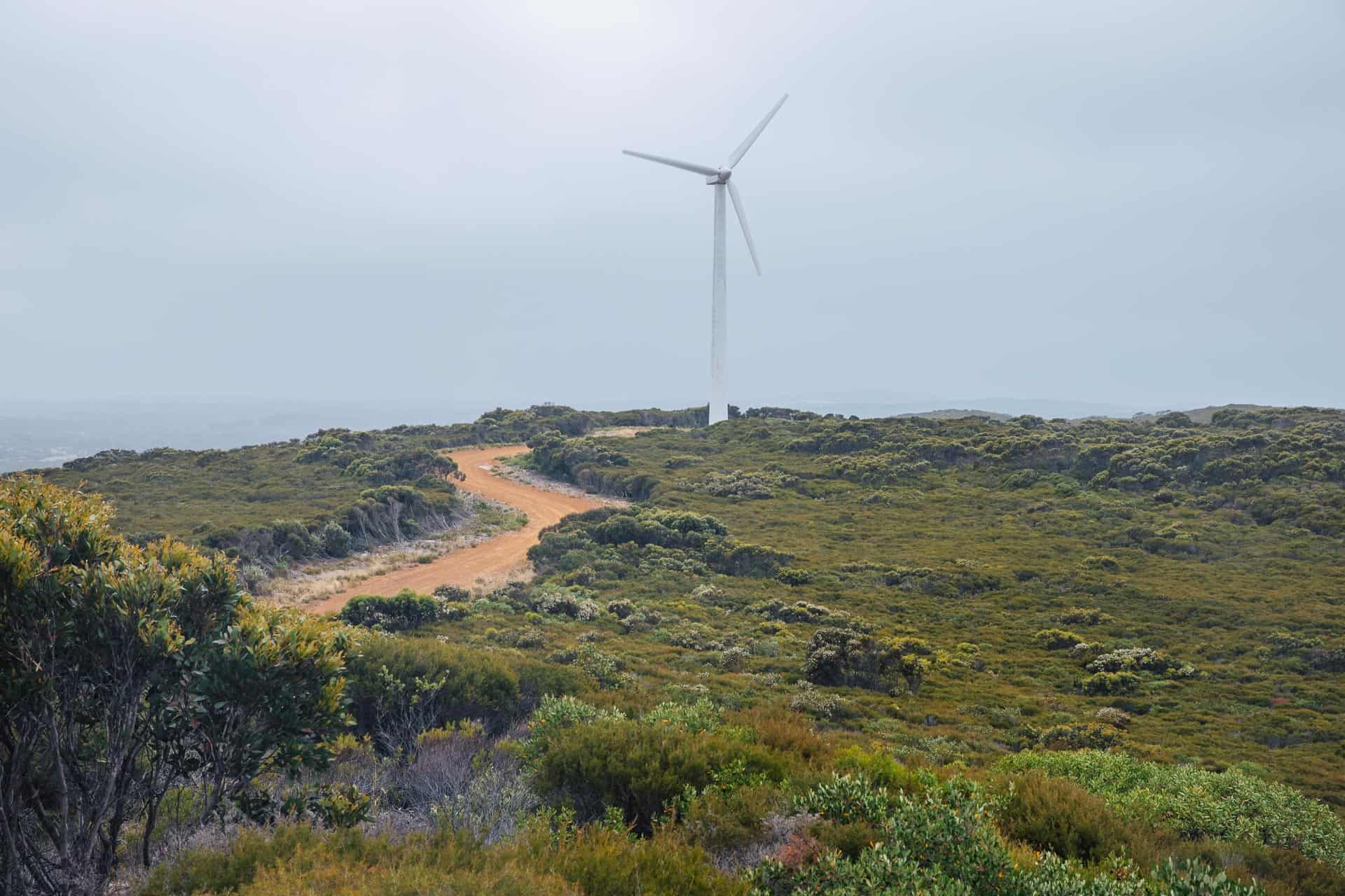 things to do in esperance, what to do in esperance, esperance things to do, esperance attractions