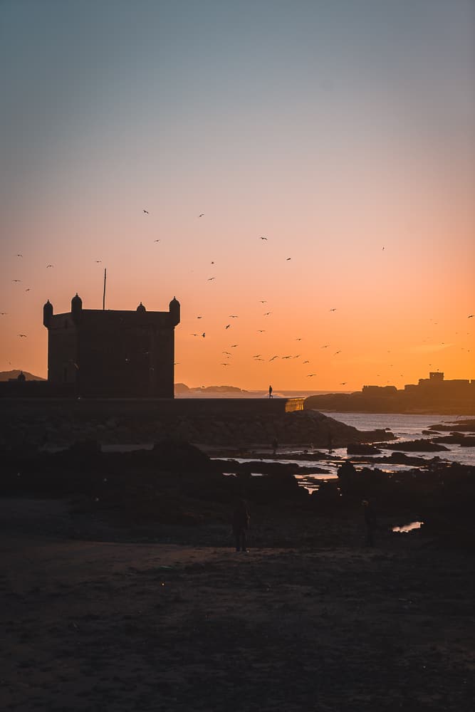 things to do in essaouria, what to do in essaouira, essaouira things to do, essaouira guide, what to do in essaouria