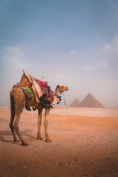 15 Day Egypt And Jordan Tour - The Ultimate Guide 4 egypt itinerary, egypt and jordan tour, egypt and jordan tours, egypt and jordan