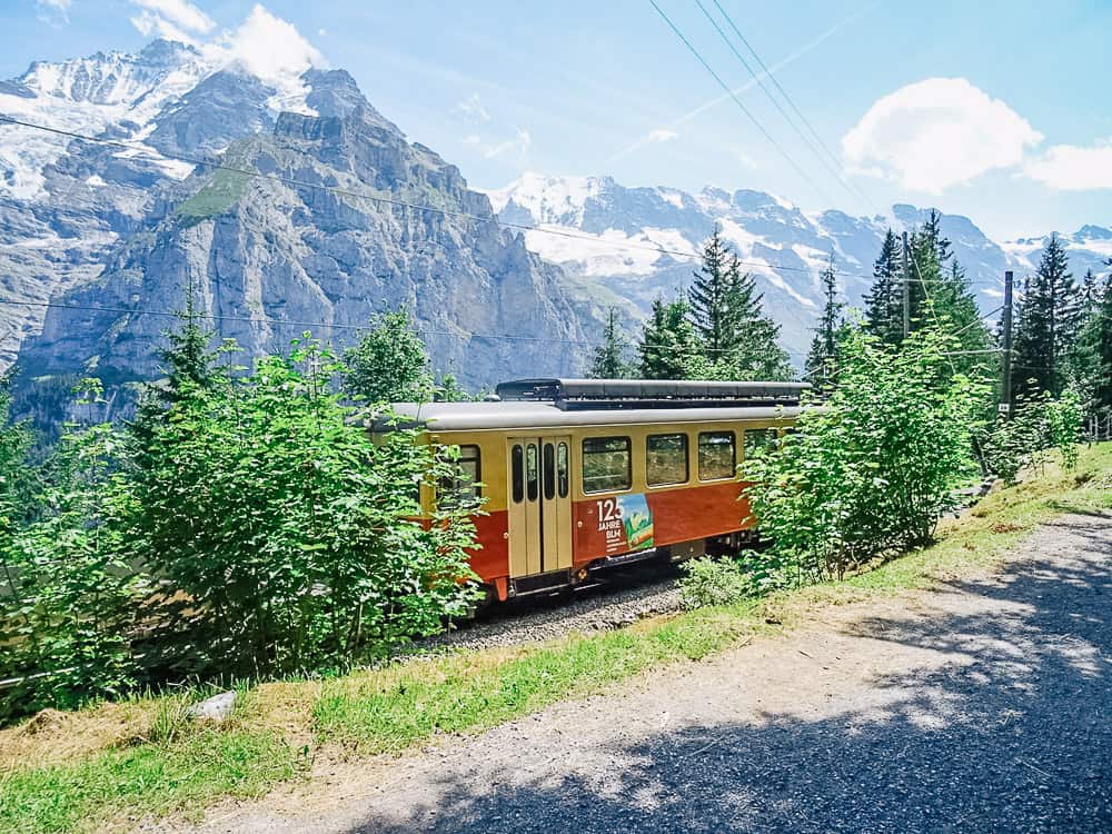 Vintage train passing through forest with mountain backdrop.