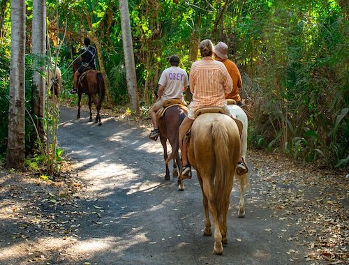 sayulita tours, day trips from sayulita, sayulita excursions, tours sayulita