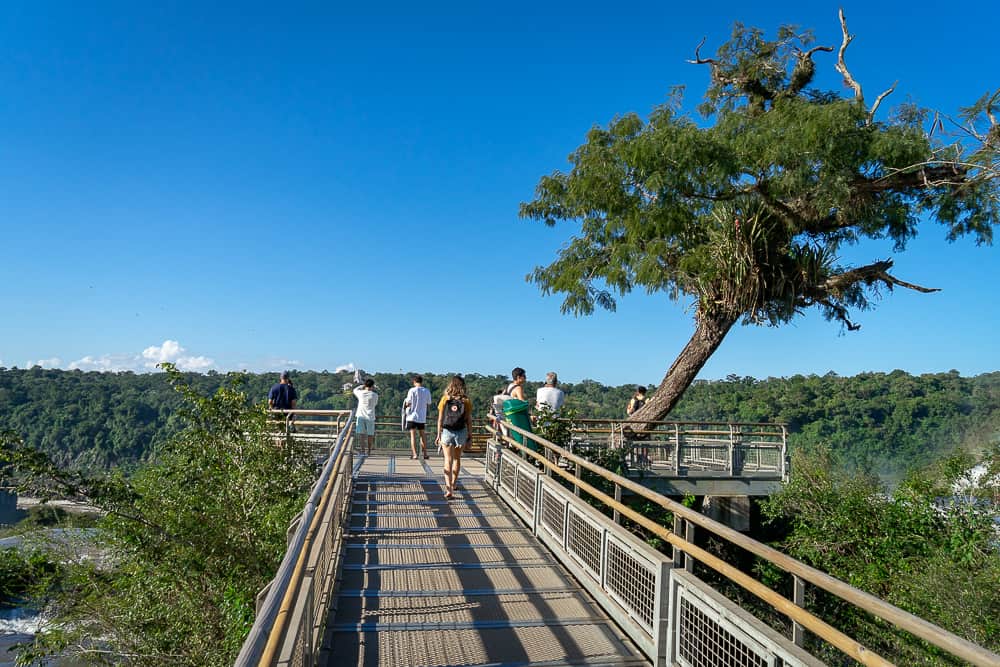 rio to iguazu falls, iguazu waterfalls, iguazu falls tours, visiting iguazu falls, foz iguazu, iguazu falls national park, buenos aires to iguazu falls, where to stay in iguazu falls, devil's throat iguazu, buenos aires to iguazu falls flight, iguazu falls map, iguazu falls facts, iguazu falls argentina side, iguazu brazilian side, iguazu falls airport, iguazu entrance fee, best time to visit iguazu falls, where is iguazu falls, rio de janeiro to iguazu falls, iguazu falls pictures, waterfalls in south america