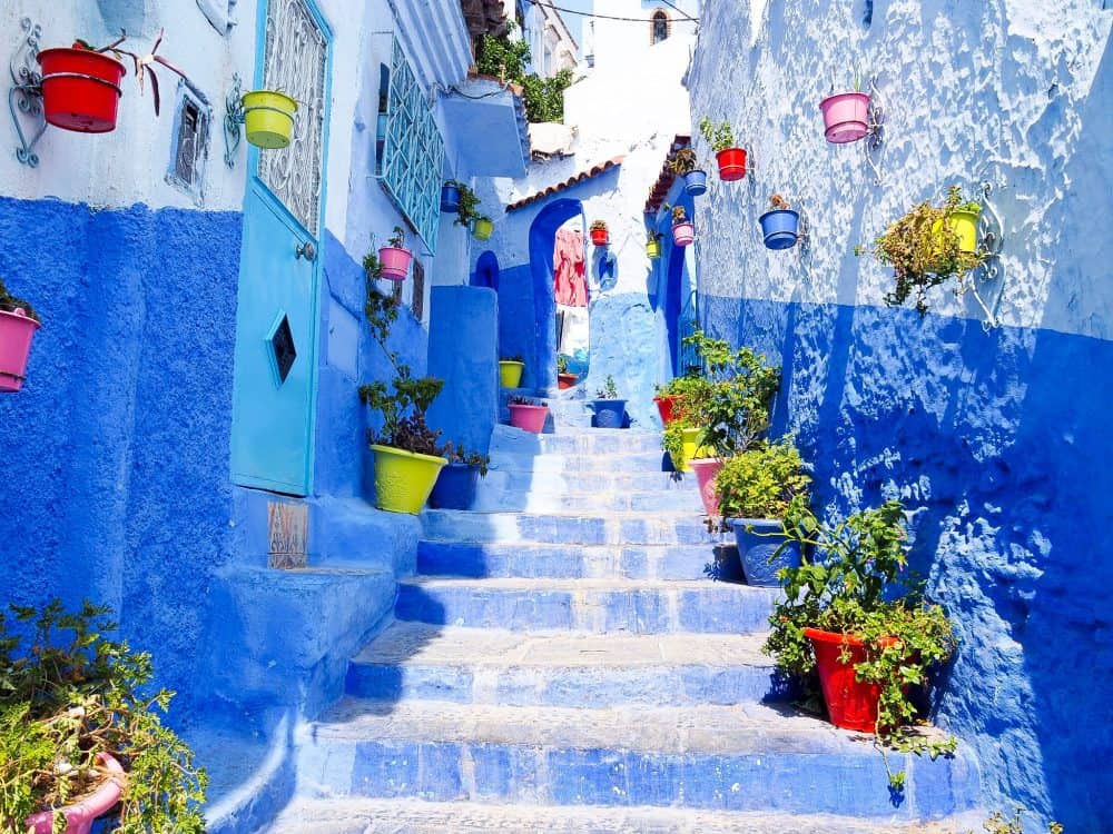 IMG 7080 e1507955567524