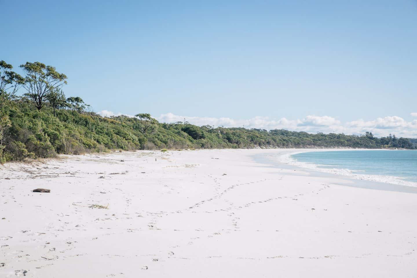 things to do in jervis bay, jervis bay things to do, jervis bay activities, jervis bay attractions, jervis bay camping, jervis bay holiday park, things to do jervis bay, things to do at jervis bay, what to do in jervis bay, beaches in jervis bay, accommodation in jervis bay, beaches at jervis bay, green patch beach, green patch beach jervis bay