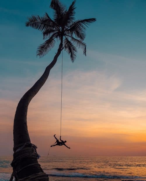 instafamous rope swing, palm tree rope swing sri lanka, palm tree rope swing, dalawella beach, unawatuna, unawatuna beach, dream cabana, dalawella rope swing