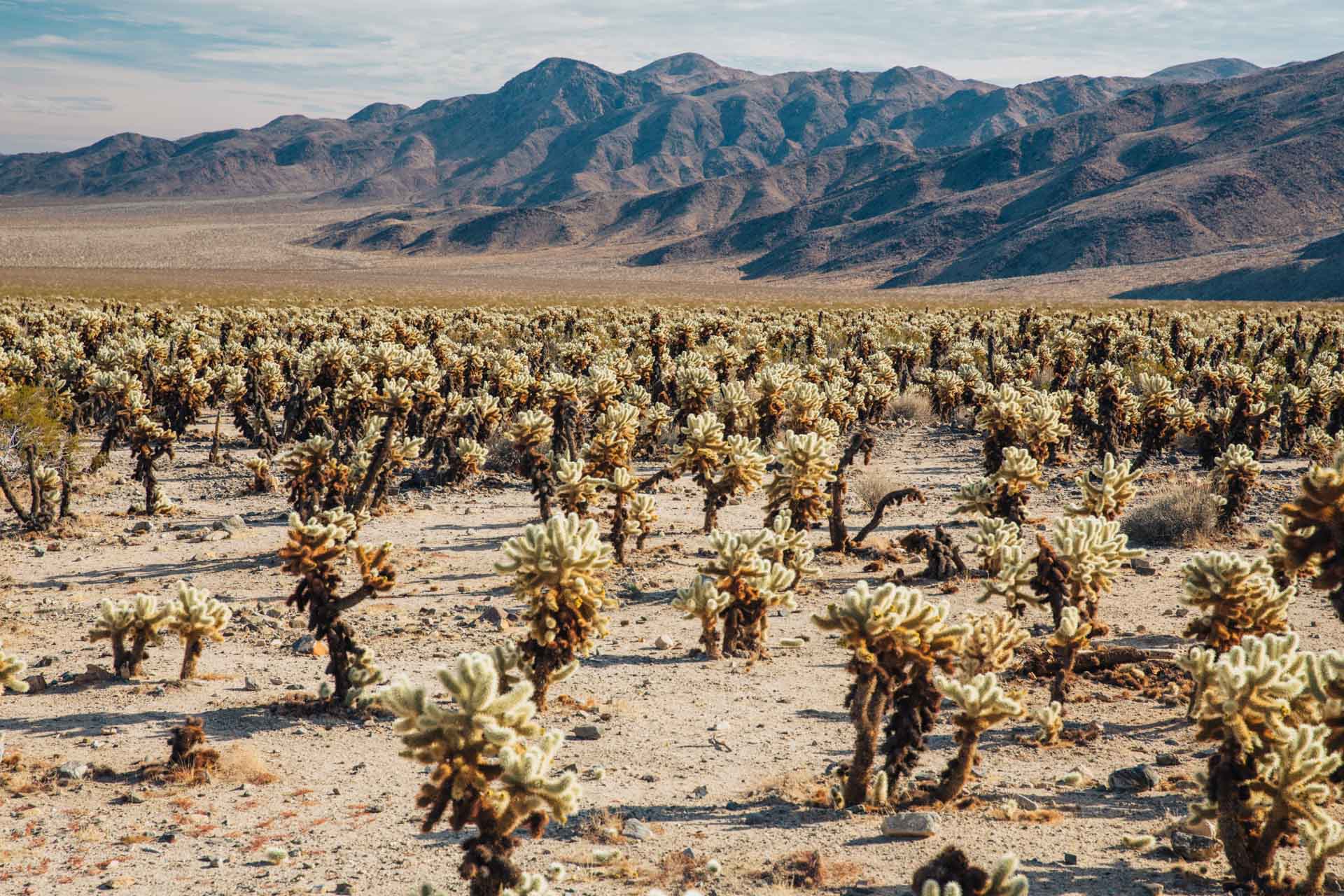 southwest road trip, southwest usa road trip, usa southwest road trip