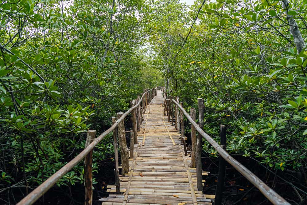 lamanok island bohol