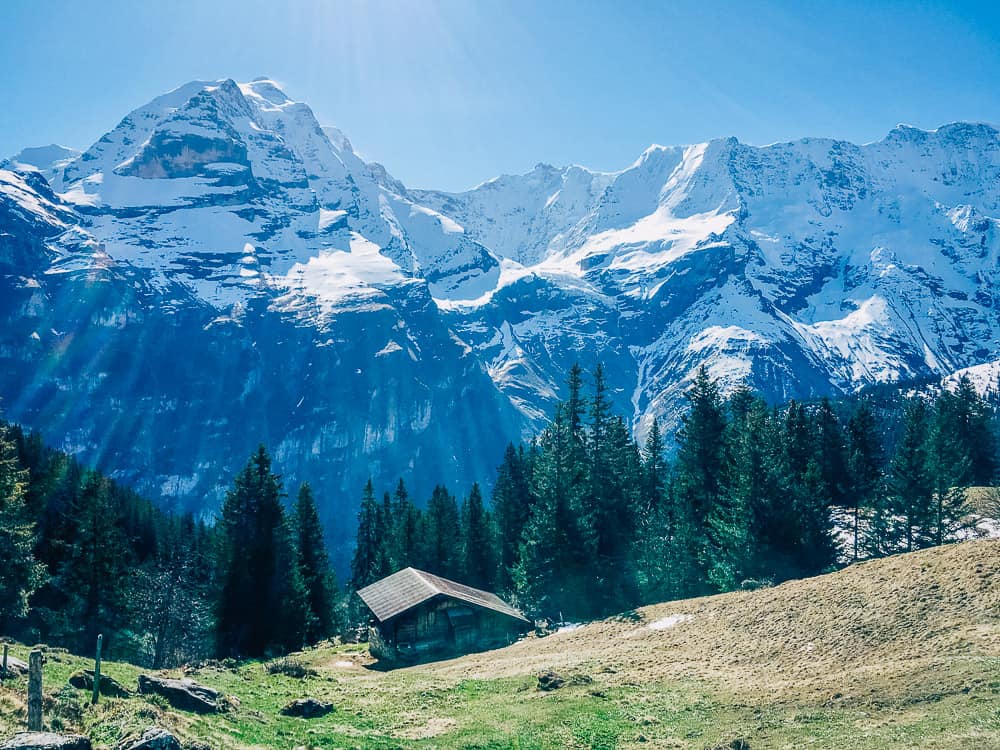 Snowy mountains and forest along Gimmelwald to Mürren hike