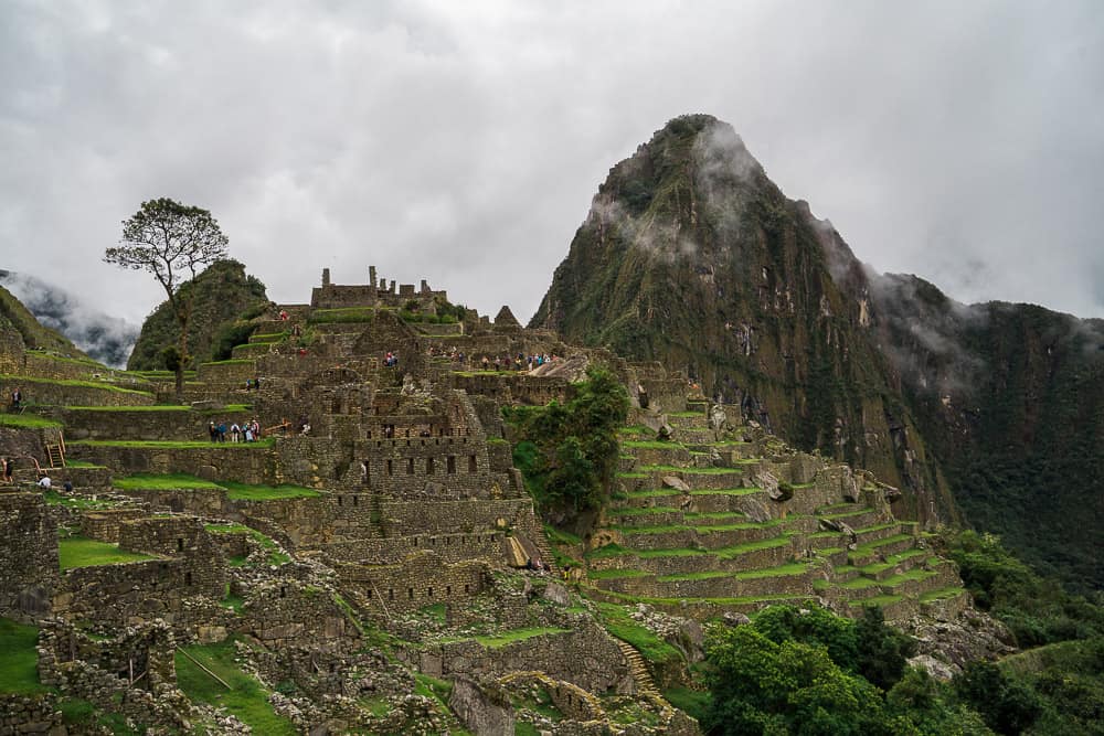 trekking machu picchu, how high is machu picchu, where is machu picchu located, climbing machu picchu, machu picchu holiday, machu picchu tour package, machu picchu guide, machu picchu mountain, getting to machu picchu, machu picchu travel guide, machu picchu itinerary, machu picchu ruins, tour machu picchu, where to stay in machu picchu, machu picchu hotels, train to machu picchu, machu picchu trip cost, how to get to machu picchu, machu picchu tours from cusco, machu picchu day tours, machu picchu turismo, machu picchu cusco, machu picchu train tickets, machu picchu images, things to do in machu picchu, machu picchu elevation, machu picchu altitude, machu picchu video, peru machu picchu map, planning a trip to machu picchu