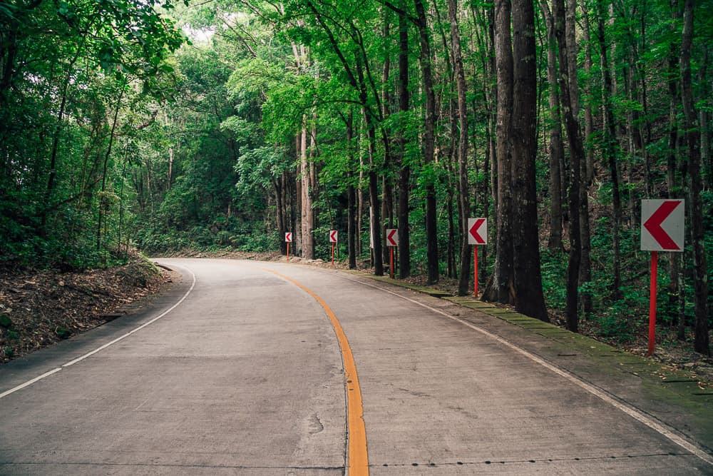 bilar man made forest, bilar man-made forest, loboc man made forest, bilar forest, man made forest bohol, man made forest in bohol