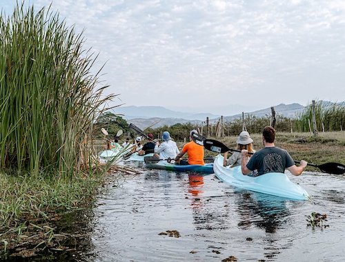 MANGROVE KAYAKING TOUR PUERTO ESCONDIDO 2