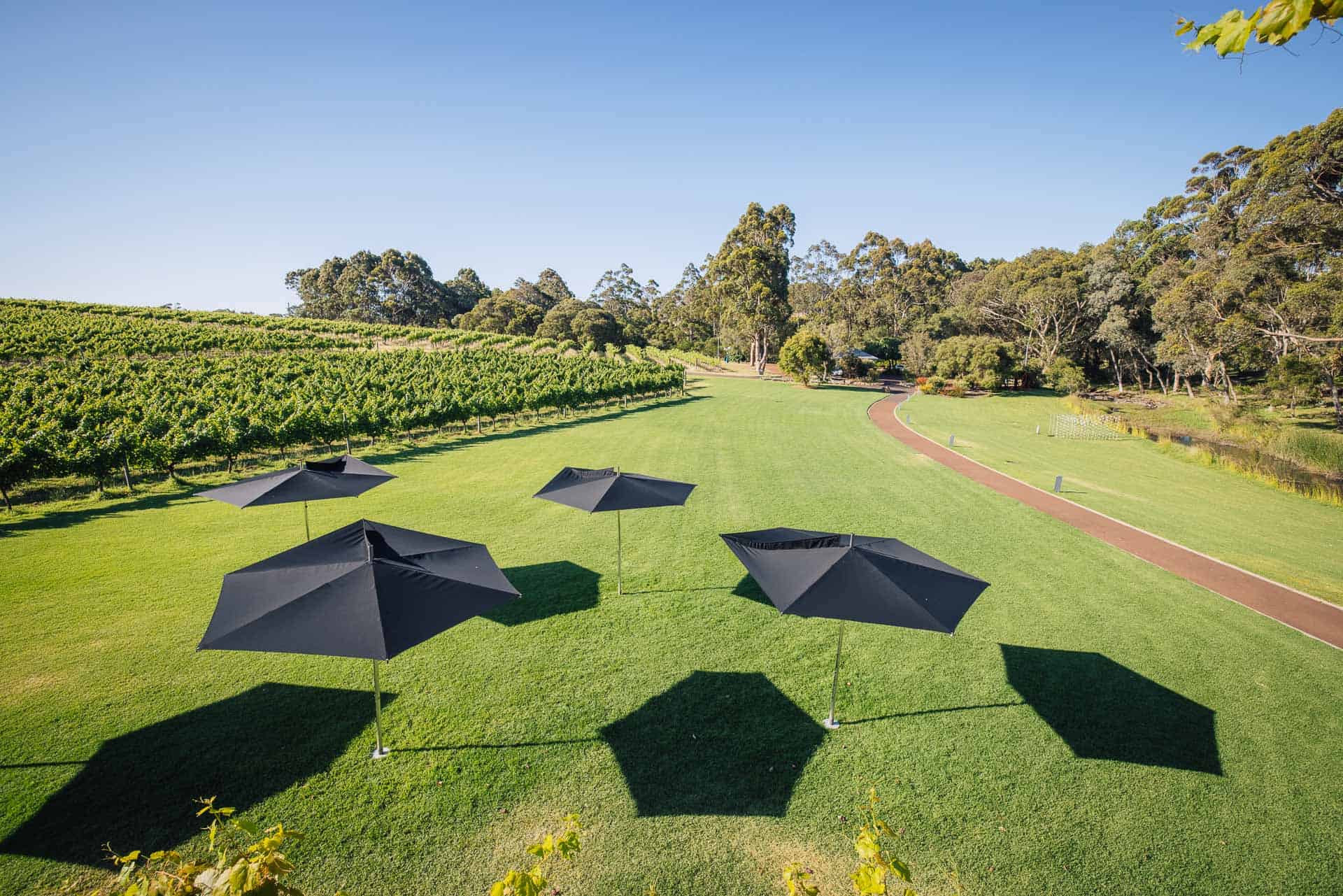 things to do in margaret river, what to do in margaret river, best things to do in margaret river, things to do margaret river