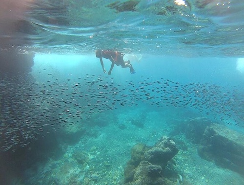 Marietas Islands Eco Discovery Snorkeling Adventure