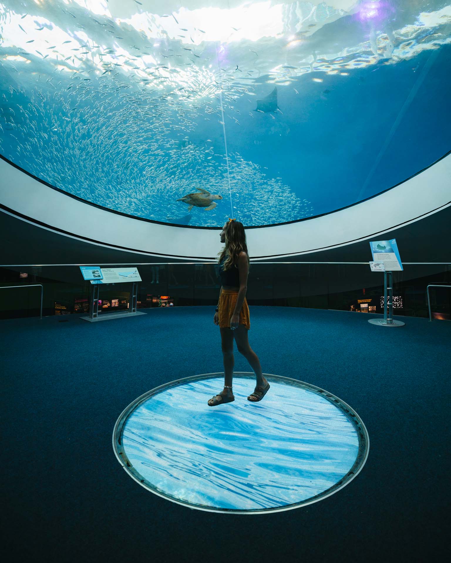 things to do in miami, fun things to do in miami, miami attractions, best things to do in miami, places to visit in miami, places to go in miami, things to do in miami florida