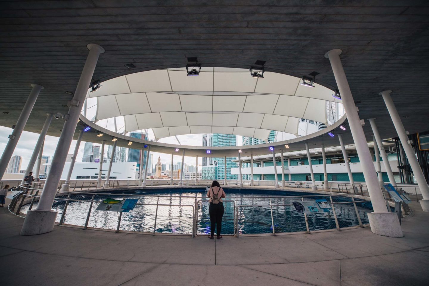 things to do in miami, fun things to do in miami, miami attractions, best things to do in miami, places to visit in miami, places to go in miami, things to do in miami florida