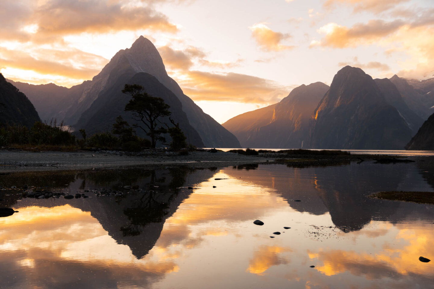 milford sound 11