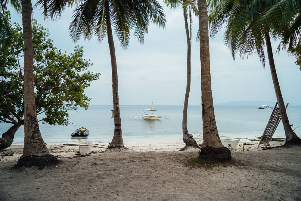 momo beach panglao, best bohol beaches