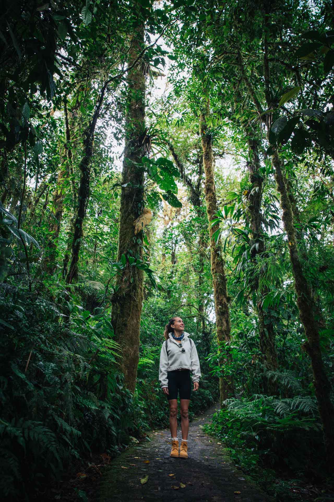 things to do in monteverde, monteverde costa rica, best things to do in monteverde, what to do in monteverde