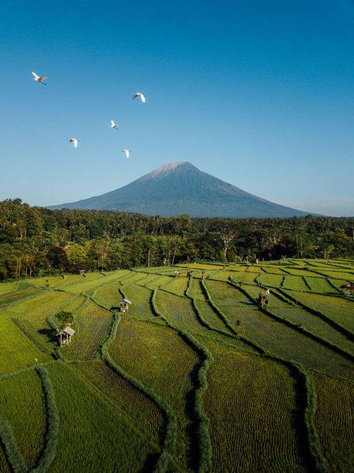 The ULTIMATE 2 Week Bali Itinerary For First-Timers 23 mt agung, mount agung, mount agung bali, mt agung bali, agung, bukit cinta, bukit cinta bali