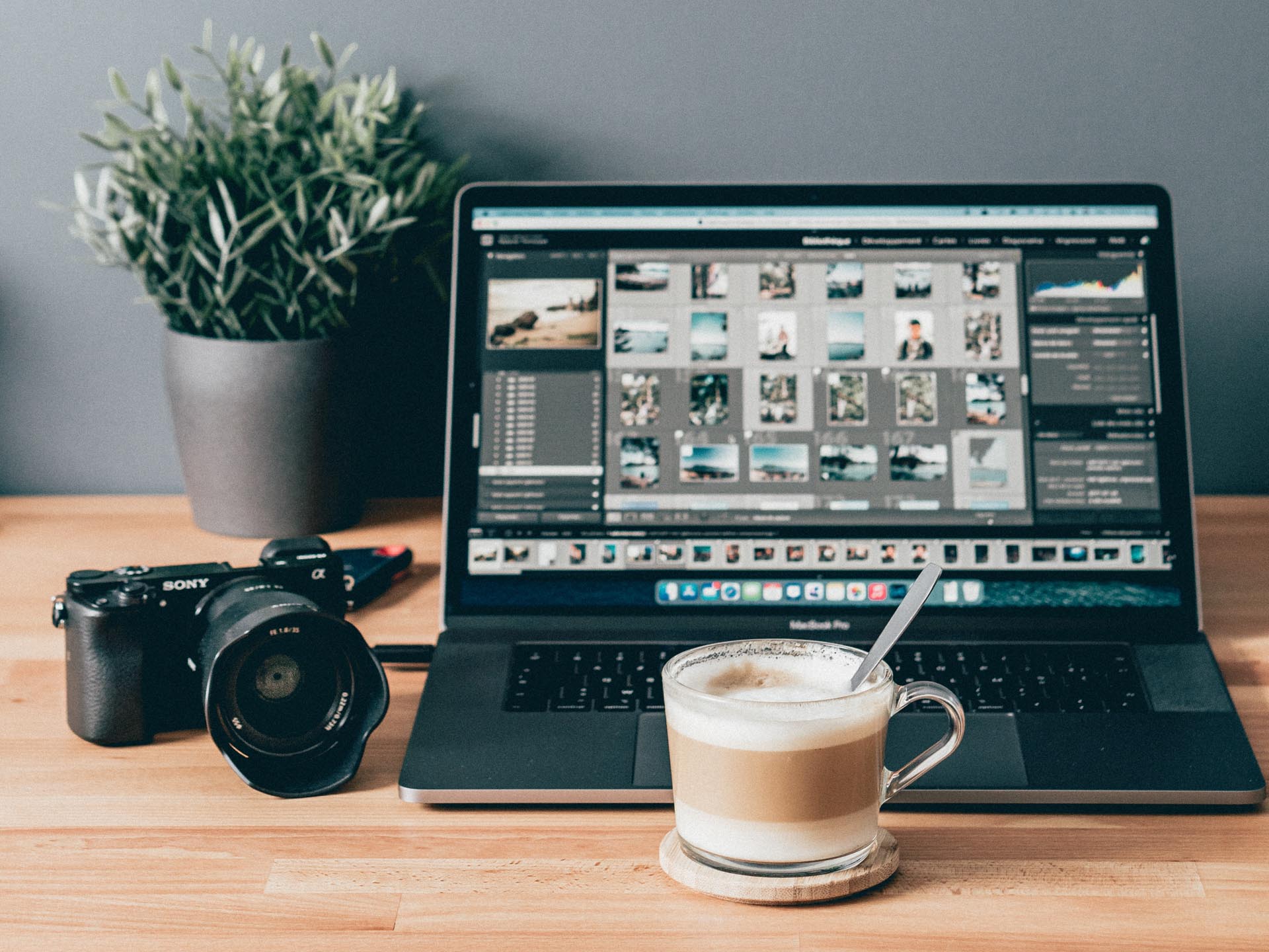 The Best NFT Photography Marketplace - A Complete Guide 1 nft photography marketplace, photography nft marketplace, best nft photography marketplace