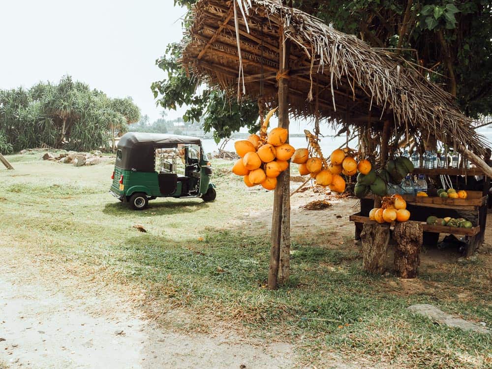 sri lanka beaches, midigama sri lanka, midigama beach sri lanka, midigama surf, midigama surf sri lanka, surfing sri lanka, sri lanka surf