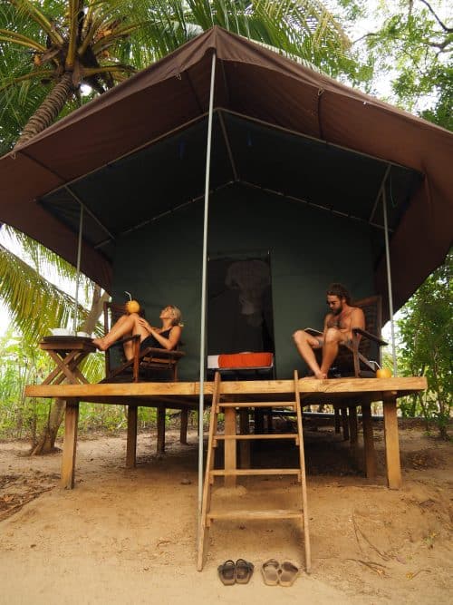 Udawalawe Safari In Sri Lanka - Visitor's Guide 4 sri lanka trip, visit sri lanka, sri lanka tourists places, sri lanka itinerary, places to visit in sri lanka, sri lanka holidays, best places to visit in sri lanka, tourist attractions in sri lanka, sri lanka tourist places, best beaches in sri lanka, what to do in sri lanka, sri lanka attractions, sri lanka blog, beautiful places in sri lanka, best places in sri lanka, sri lanka points of interest, things to see in sri lanka, sri lanka beaches, udawalawe safari, udawalawe safari tour, udawalawe national park, udawalawe, uda walawe, udawalawe safari price, udawalawe accommodation, sri lanka safari, udawalawe national park accommodation, udawalawe national park jeep safari, 2 weeks in sri lanka itinerary, sri lanka itinerary, 2 weeks in sri lanka, sri lanka itinerary 3 weeks, two weeks in sri lanka, sri lanka two week itinerary, sri lanka travel itinerary, sri lanka travel guide, best itinerary for sri lanka