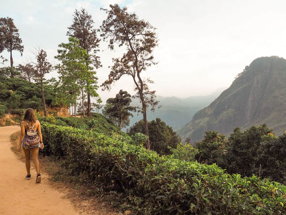 little adams peak sri lanka, little adams peak, little adams peak, ella, ella sri lanka, mini adam's peak, adam's peak accomodation, adams peak, little adams peak ella, little adams peak view