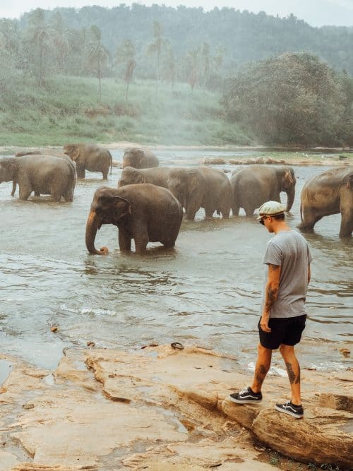 sri lanka trip, visit sri lanka, sri lanka tourists places, sri lanka itinerary, places to visit in sri lanka, sri lanka holidays, best places to visit in sri lanka, tourist attractions in sri lanka, sri lanka tourist places, best beaches in sri lanka, what to do in sri lanka, sri lanka attractions, sri lanka blog, beautiful places in sri lanka, best places in sri lanka, sri lanka points of interest, things to see in sri lanka, things to do in sri lanka, sri lanka beaches, 2 weeks in sri lanka itinerary, sri lanka itinerary, 2 weeks in sri lanka, sri lanka itinerary 3 weeks, two weeks in sri lanka, sri lanka two week itinerary, sri lanka travel itinerary, sri lanka travel guide, best itinerary for sri lanka